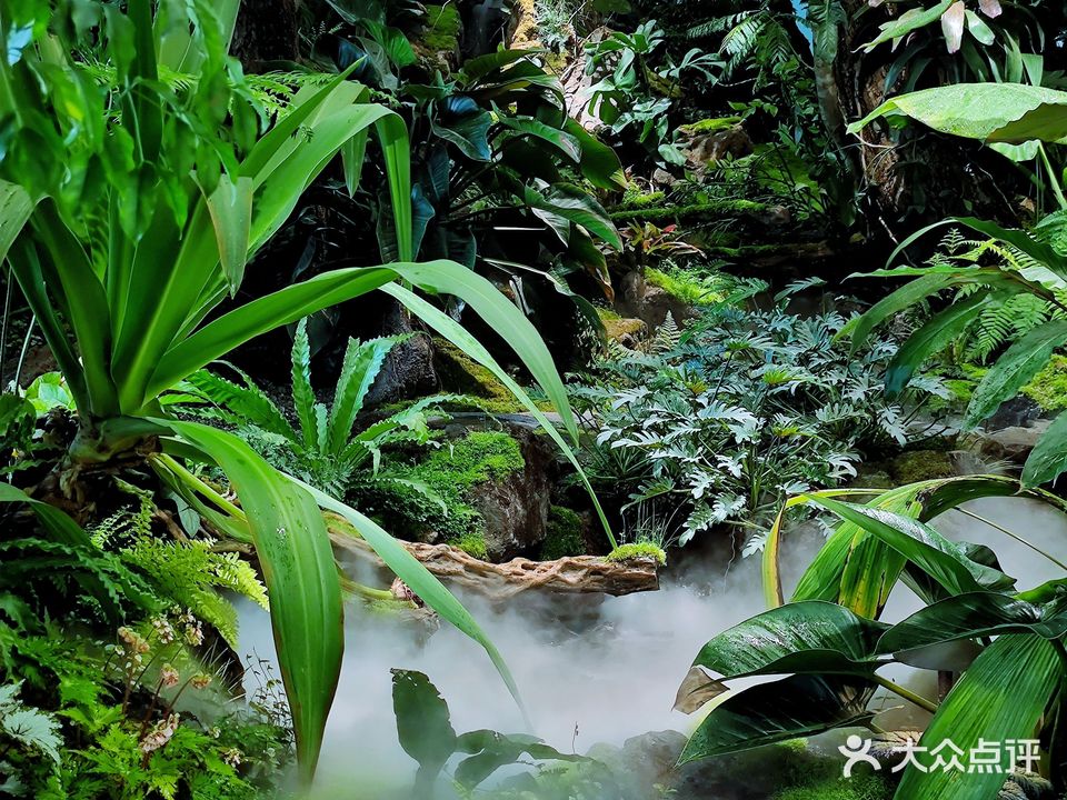 芒果树·江景雨林餐厅