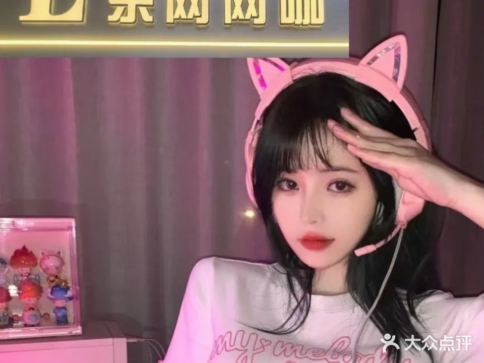 乐网网咖