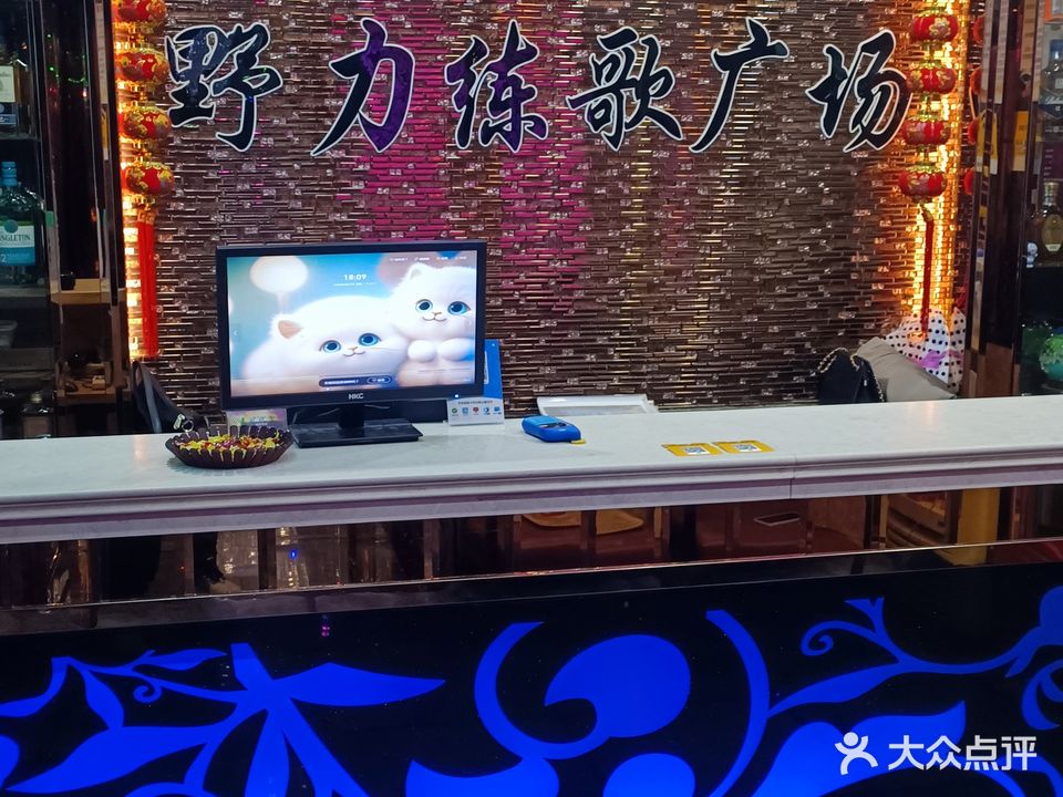 野力练歌广场(人民路店)