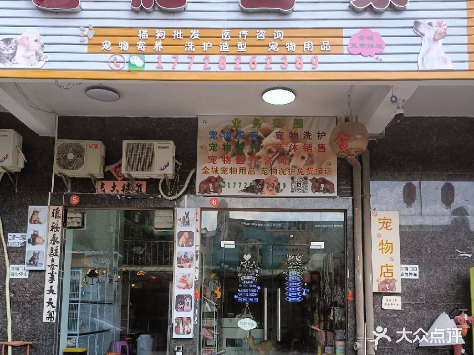 老肥当家动物店