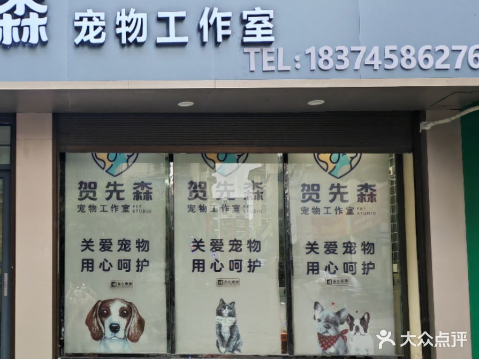 贺先森宠物工作室