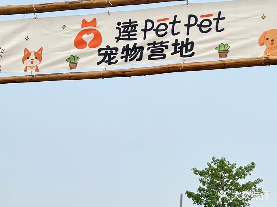 达PetPet宠物营地
