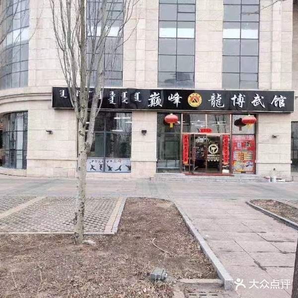 巅峰龙博武官(西校区)