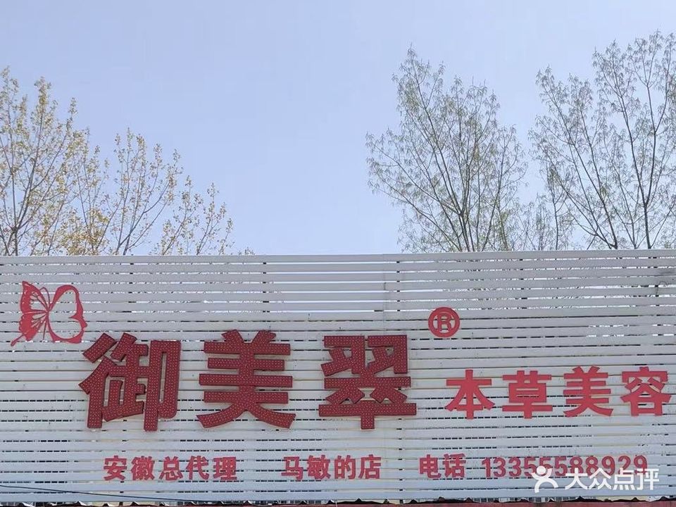 御美翠本草美容安徽总代理