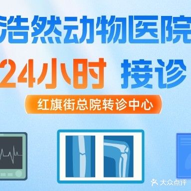 浩然动物医院(24小时诊疗中心)
