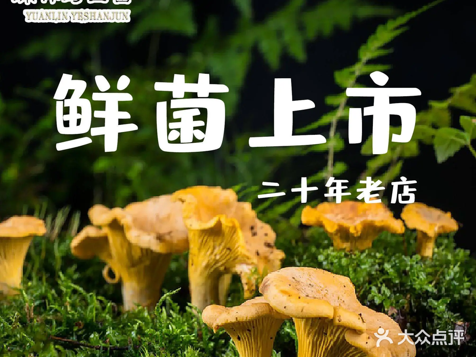 原林野山菌(关上总店)