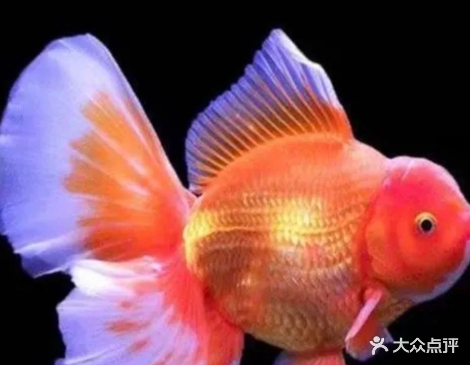 海世界水族馆(鱼缸专卖店)