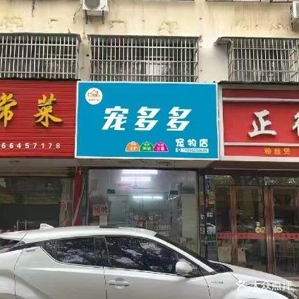 宠多多宠物店