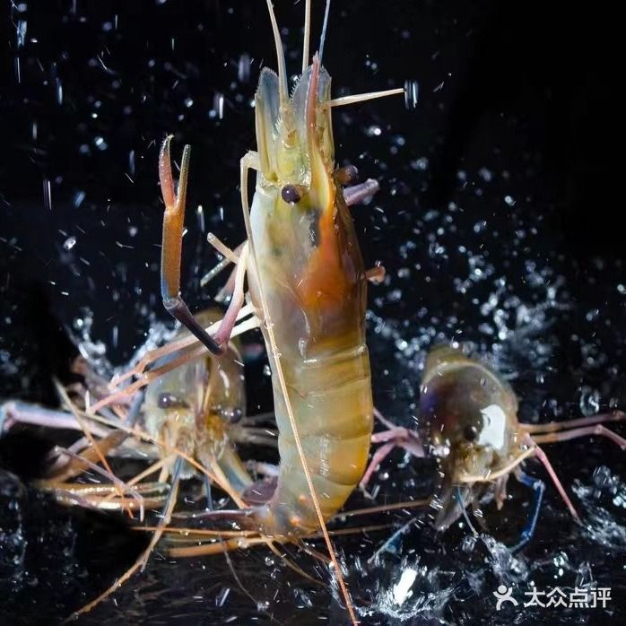 阿雄海鲜(丁村万人海鲜广场海棠湾1号店)