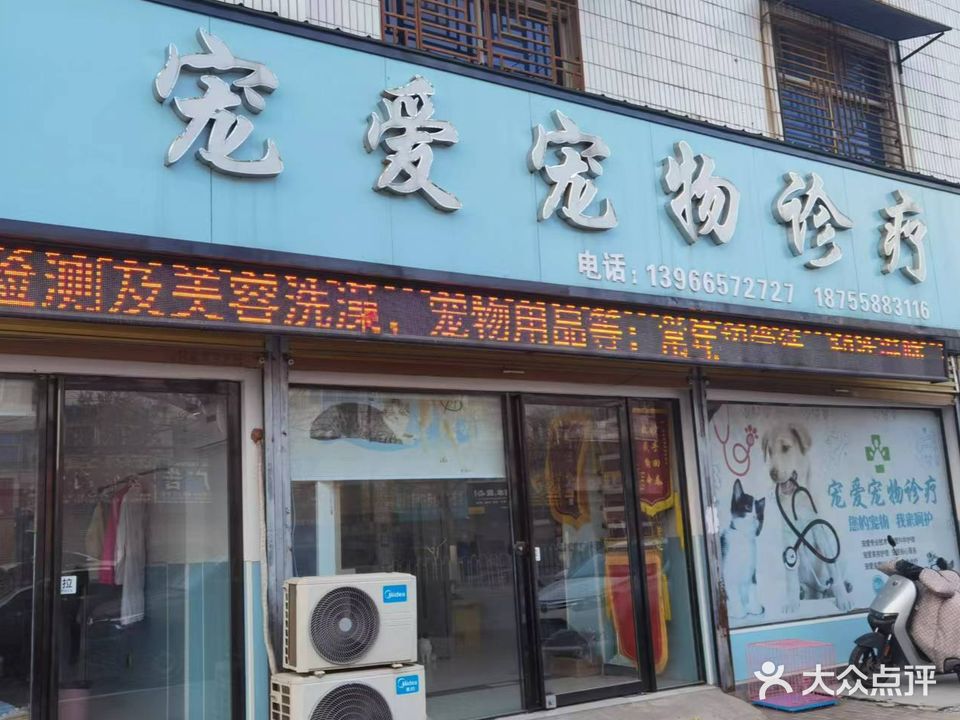 宠爱宠物医院(东顺河街店)