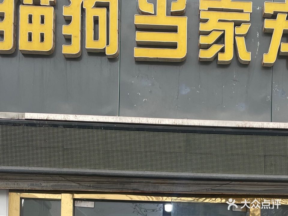 猫狗当家宠物