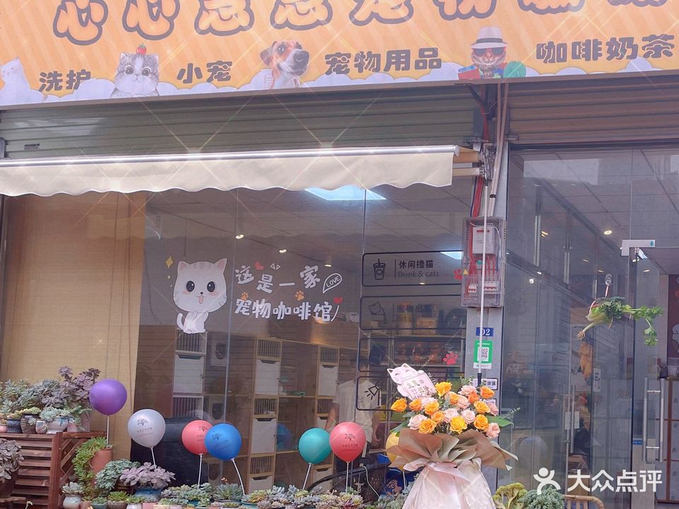 心心念念宠物店