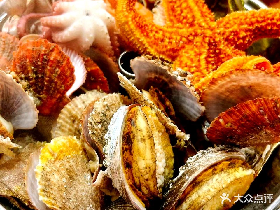 鲁渔乐品·海鲜·渔家菜·海肠捞饭(蒿泊店)