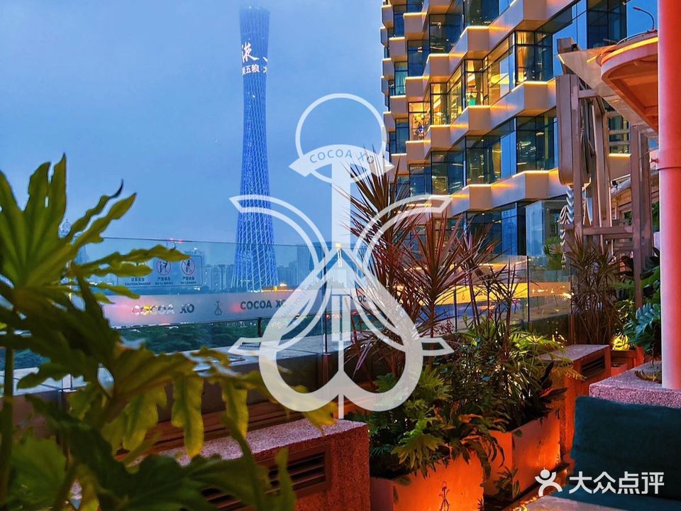 COCOA·星桥(天德广场店)