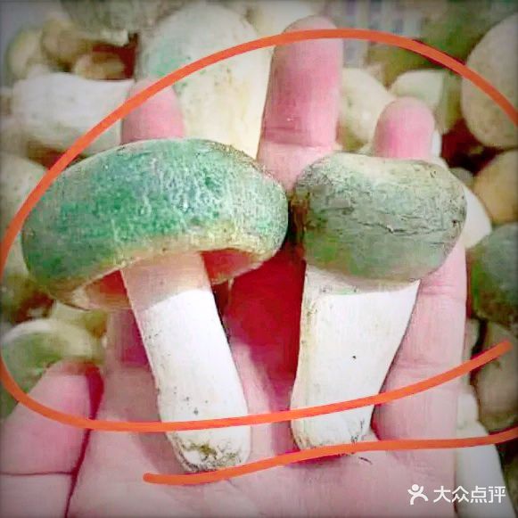 牛宗祖鲜菌肚包鸡(金旭之光一期店)