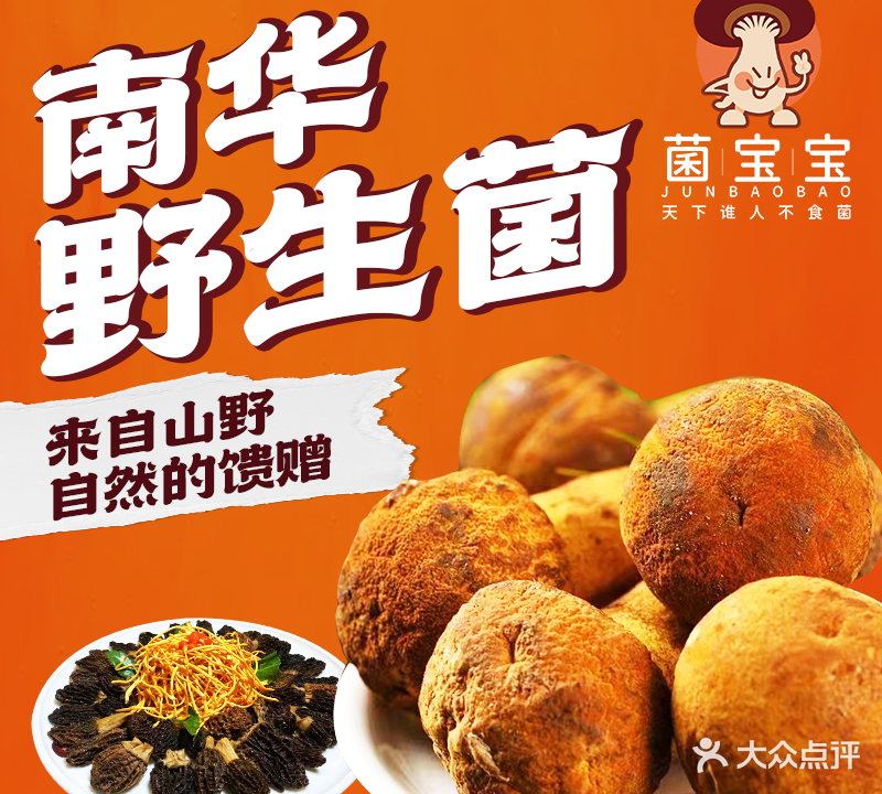 南华菌宝宝·野生菌火锅(孔雀城店)