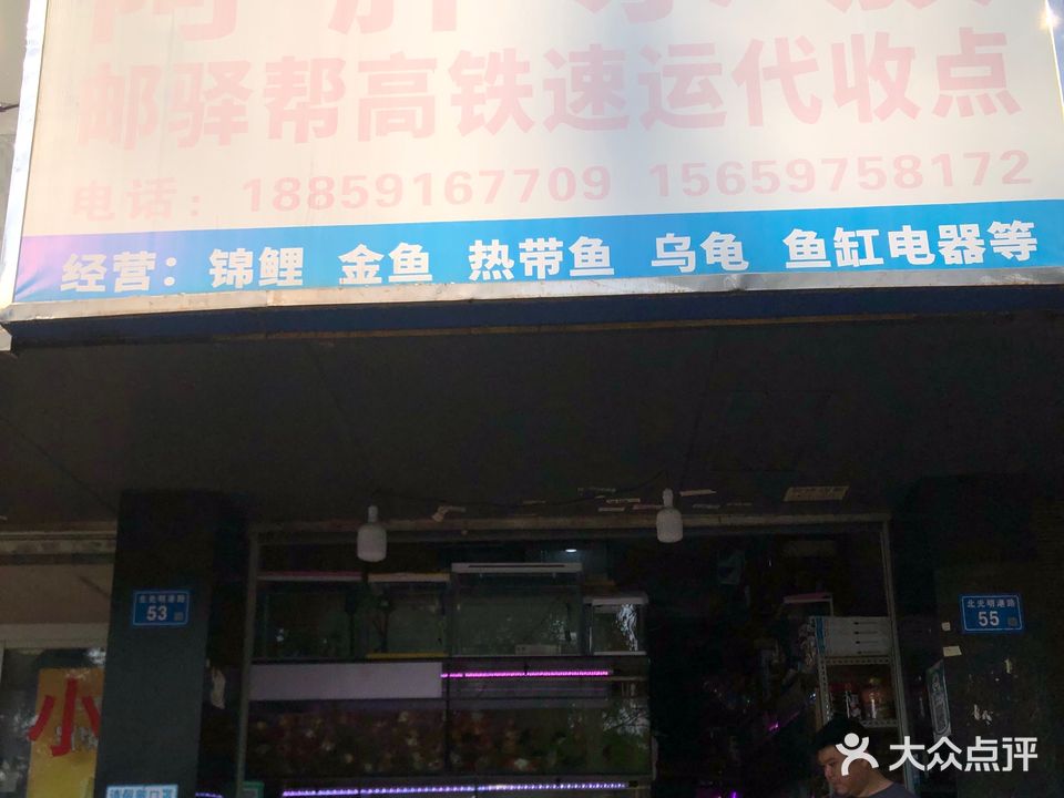 阿胖水族(永同昌公寓胜明花园店)