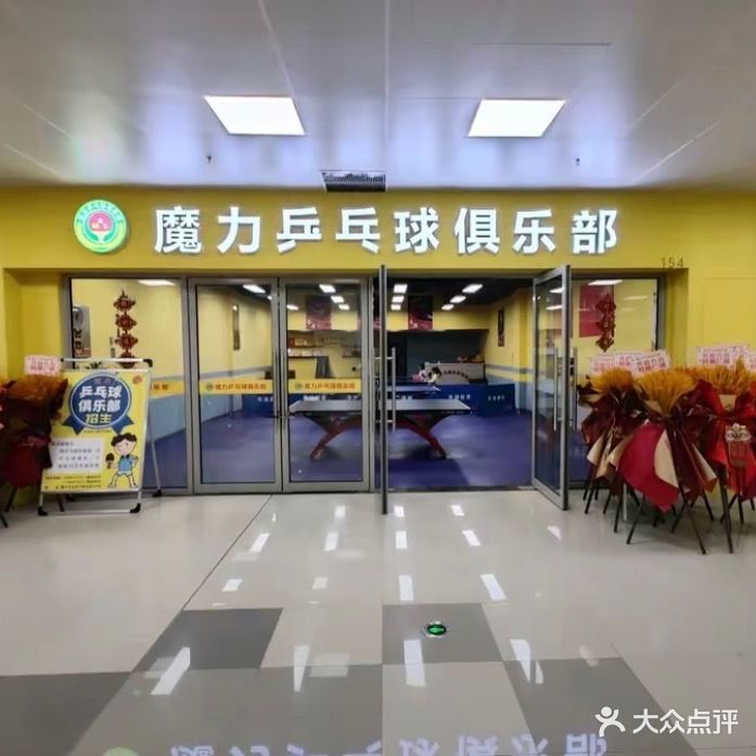 魔力乒乓球俱乐部
