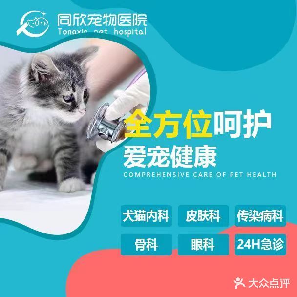 同欣宠物医院·猫科·急重症转诊中心(繁华大道总院)