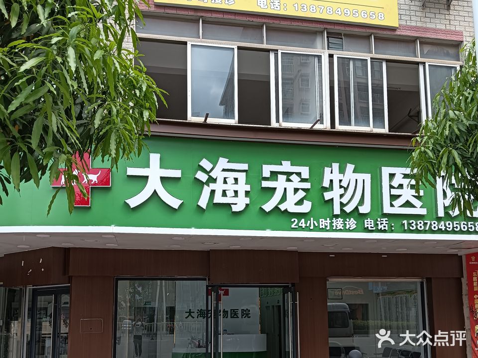 大海宠物店