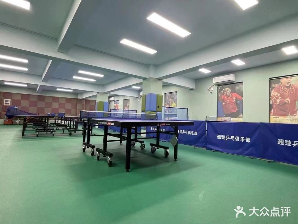 翘楚乒乓