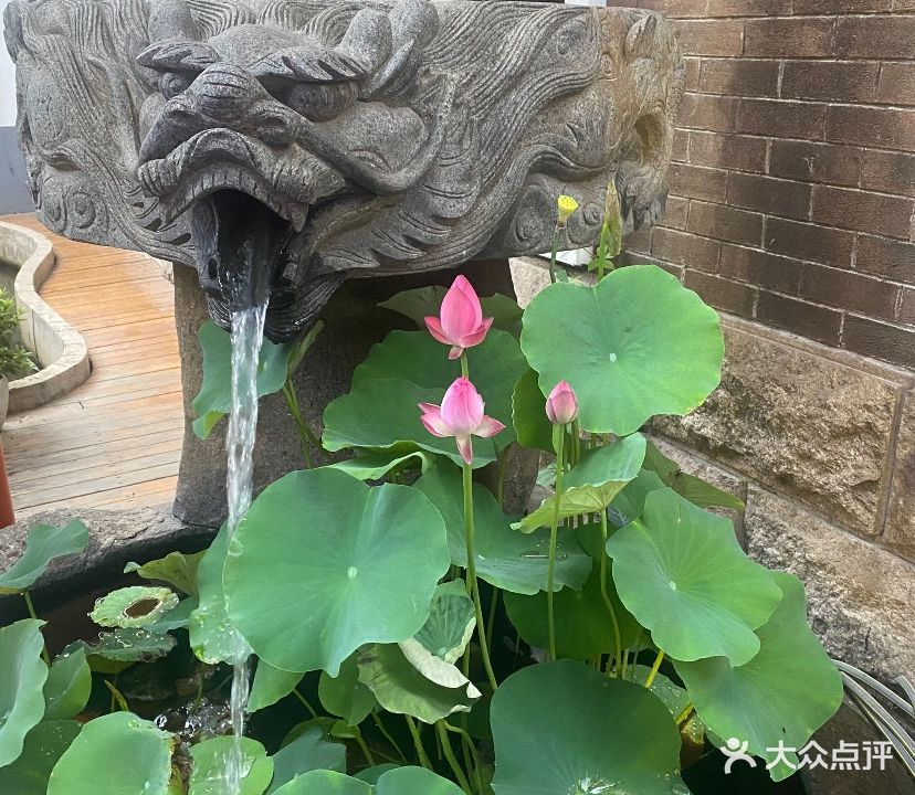 小桥流水人家(龙城大道店)