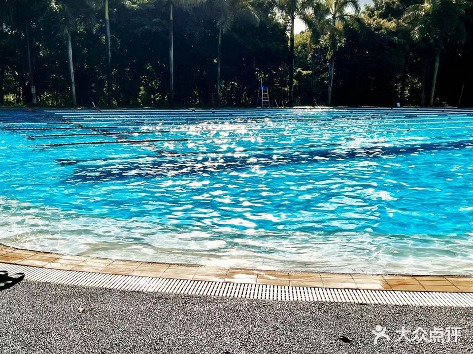 金泓体艺·善水大型专业游泳官
