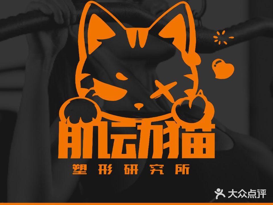 肌动猫塑形研究所