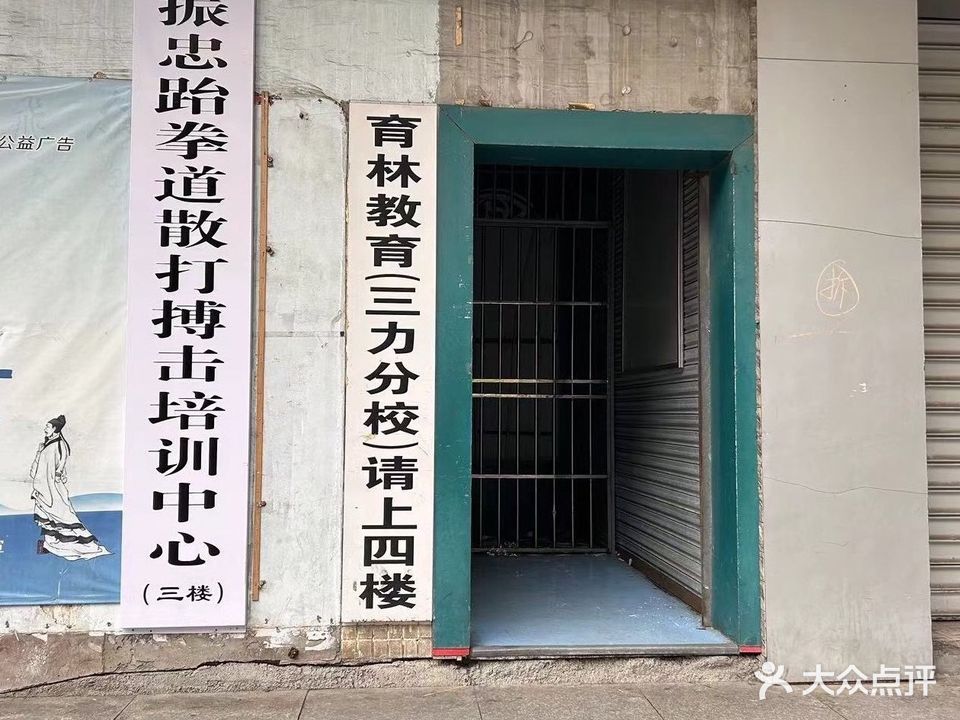 振揣钮忠诊跆拳道散打搏击培训中心
