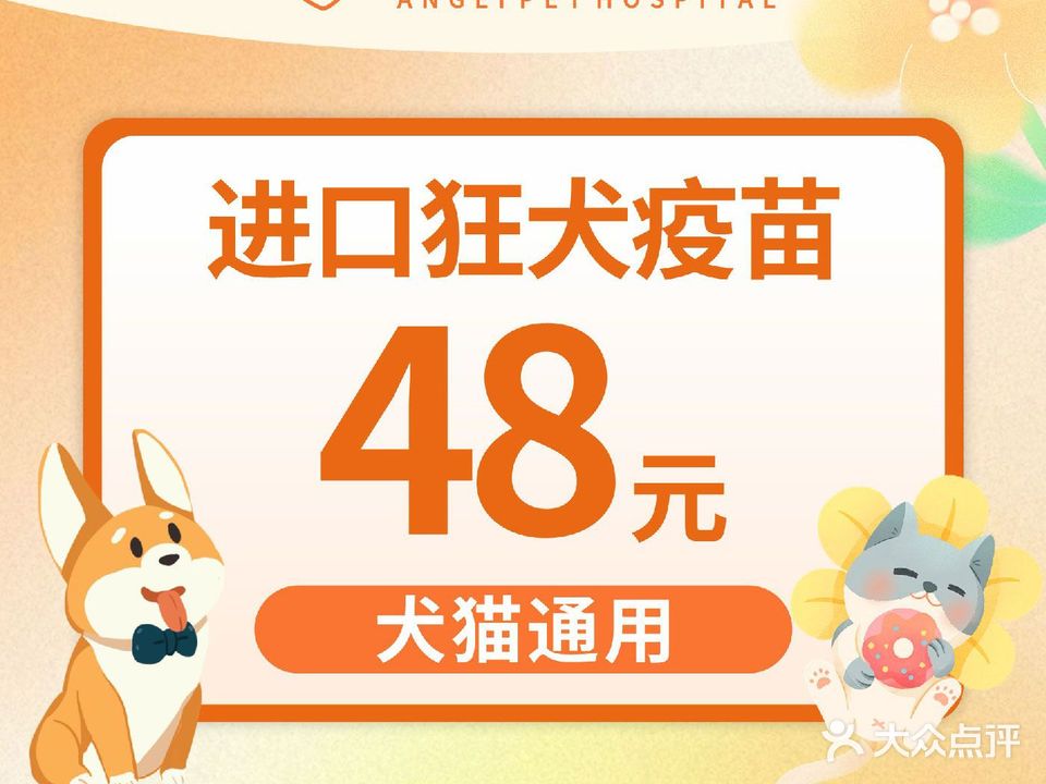 宠医星安淇儿动物医院(东坡区店)
