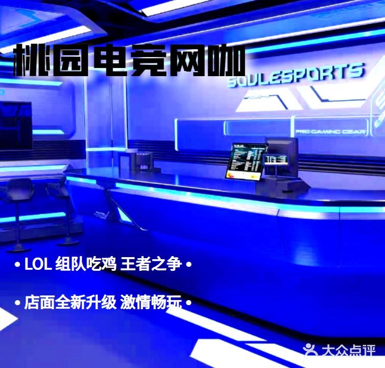 桃源网咖