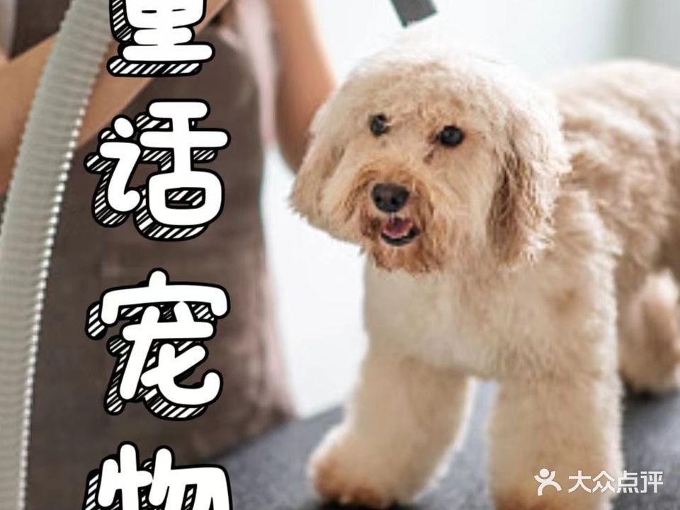 童综话貔惺宠物店