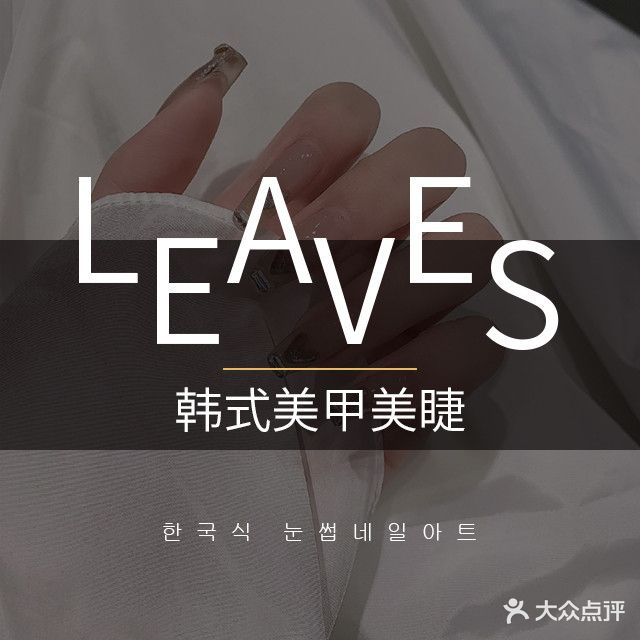 叶子美学