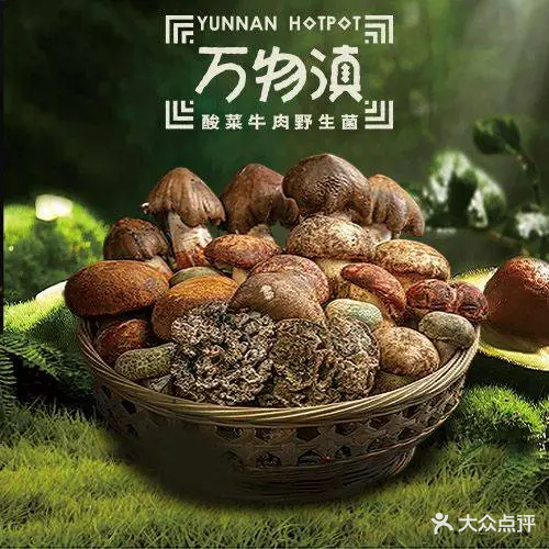 胶钵滇麸物万