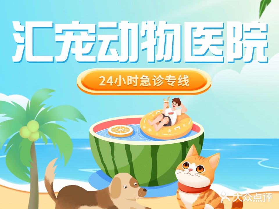 汇宠动物医院·内窥镜·异宠诊疗