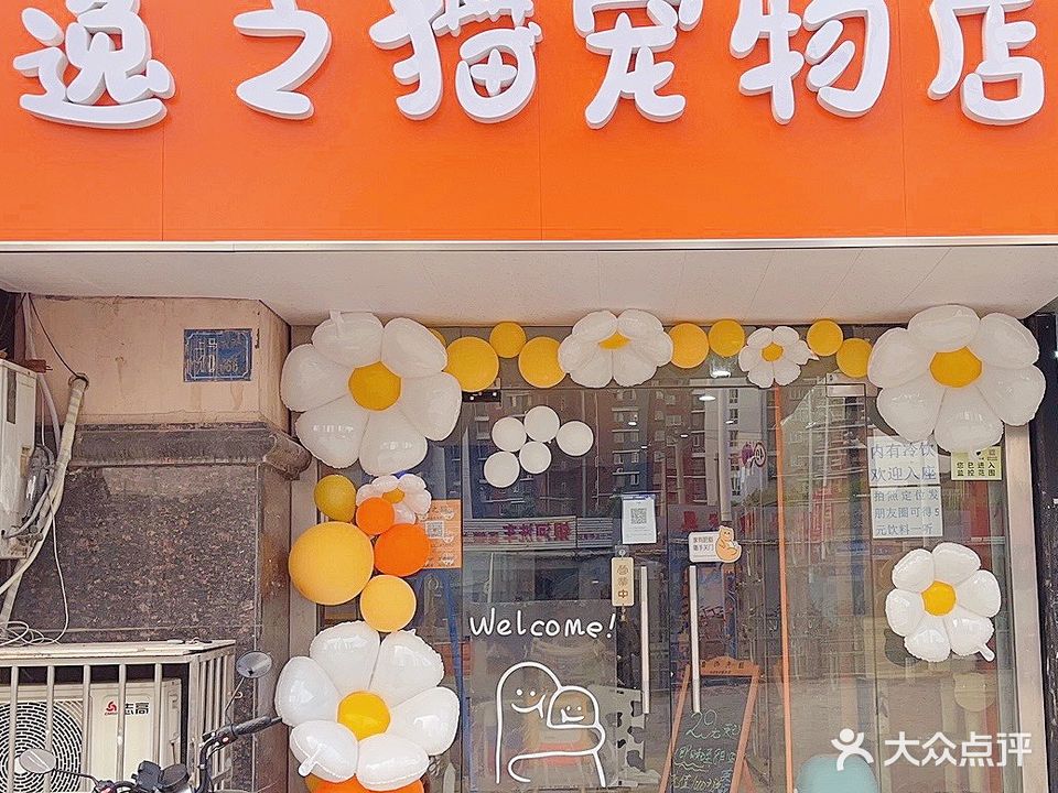 逸之猫宠物店(上马墩店)