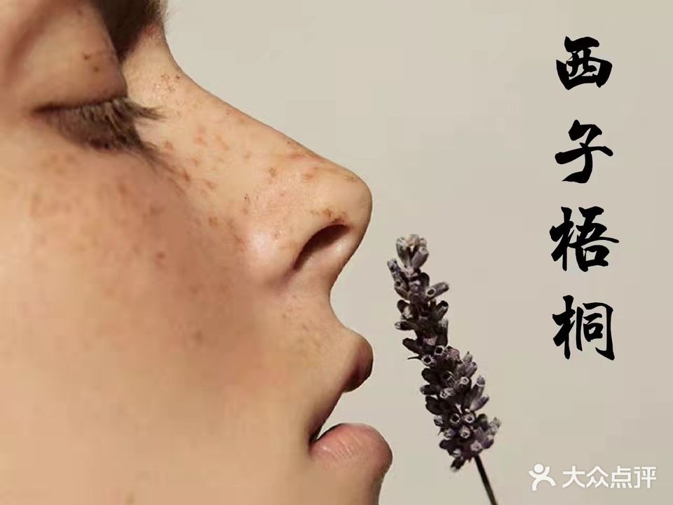 西子梧桐有机疗肤spa(祥云小镇店)