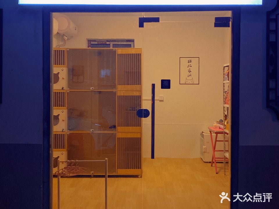 April·阿喵宠物店