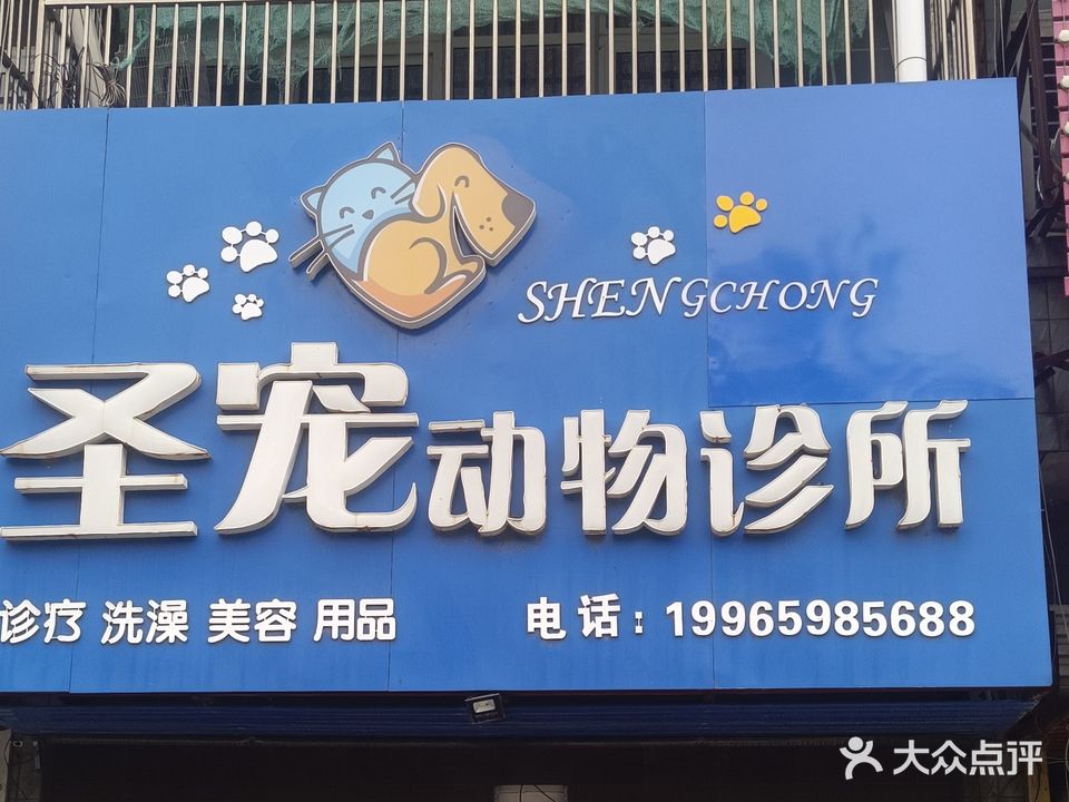 圣宠动物诊所(南华路店)