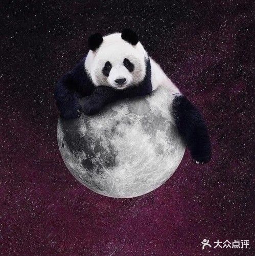 熊猫台球