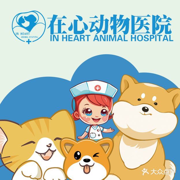 在心路2h动物医院