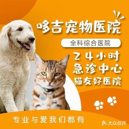 哆吉·24h急重症转诊中心·骨外科·中西医结合(涧西店)