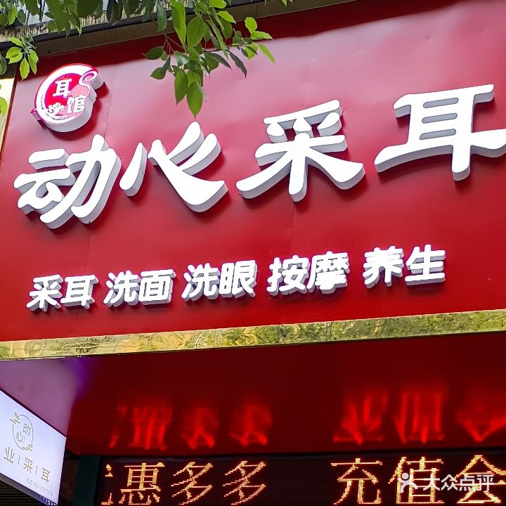 动心采耳