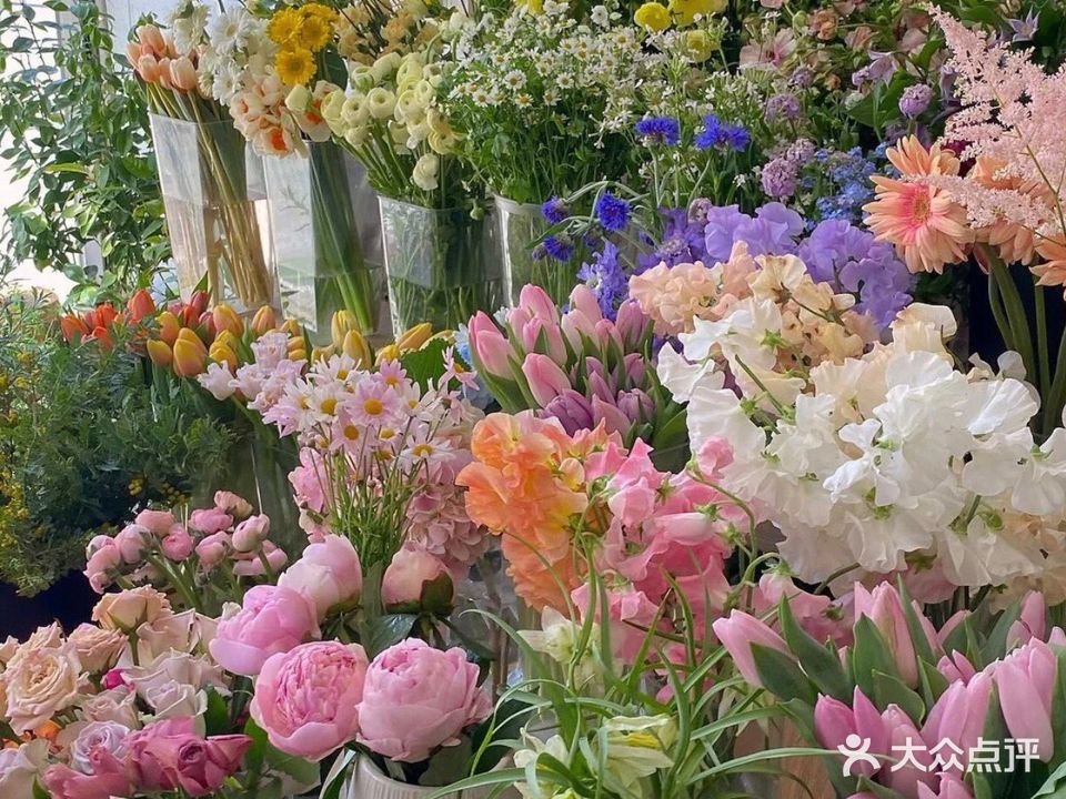 66花艺美学