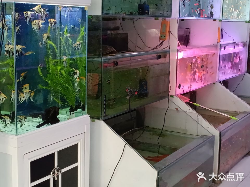 深蓝水族