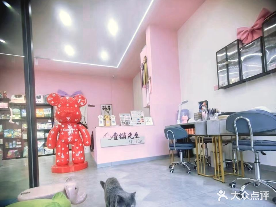 先奈壹猫生弩耆