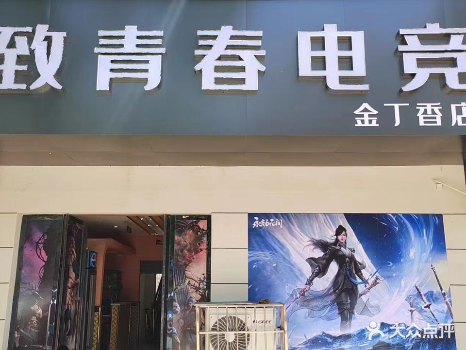 致青春金丁香网咖