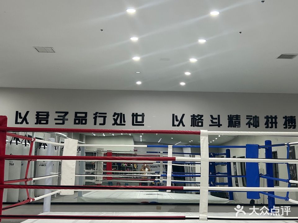 钻石格斗