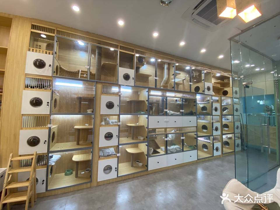 猫姥爷萌宠集合店(CBD万达广场店)