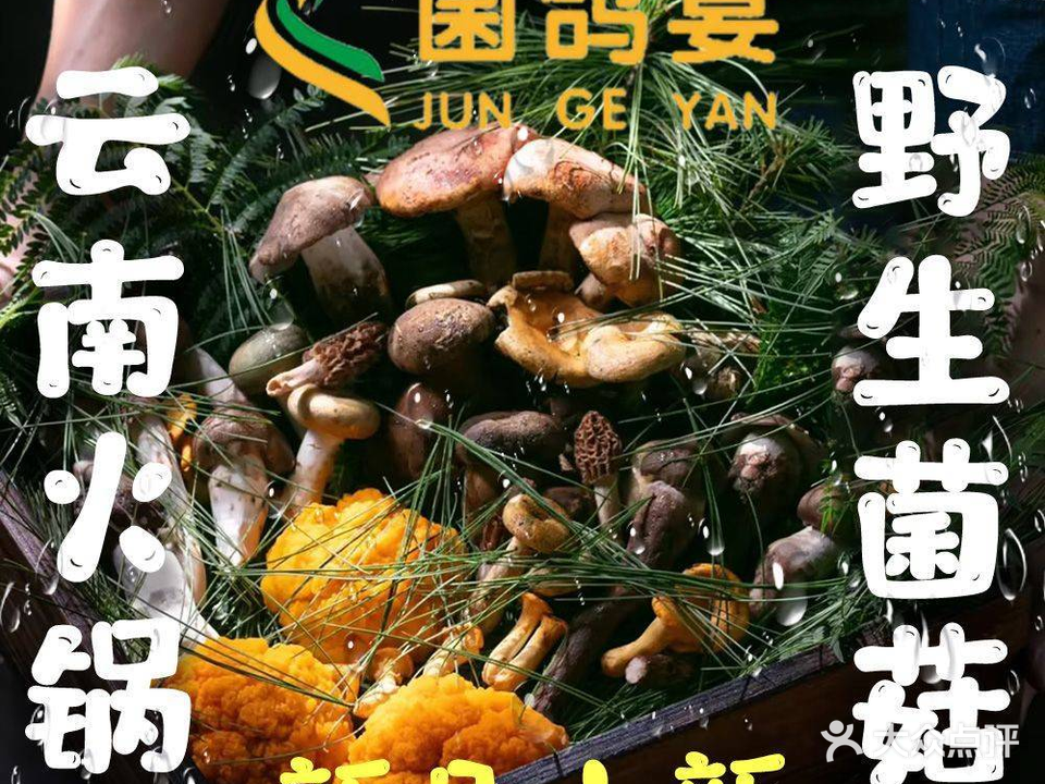 菌鸽宴·云南野生菌火锅(昌岗店)